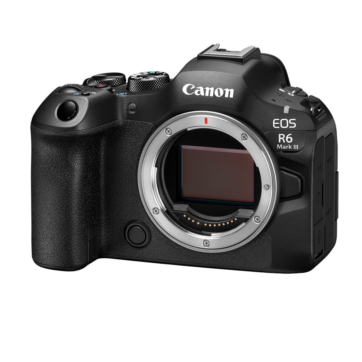 Canon EOS R6 Mark III